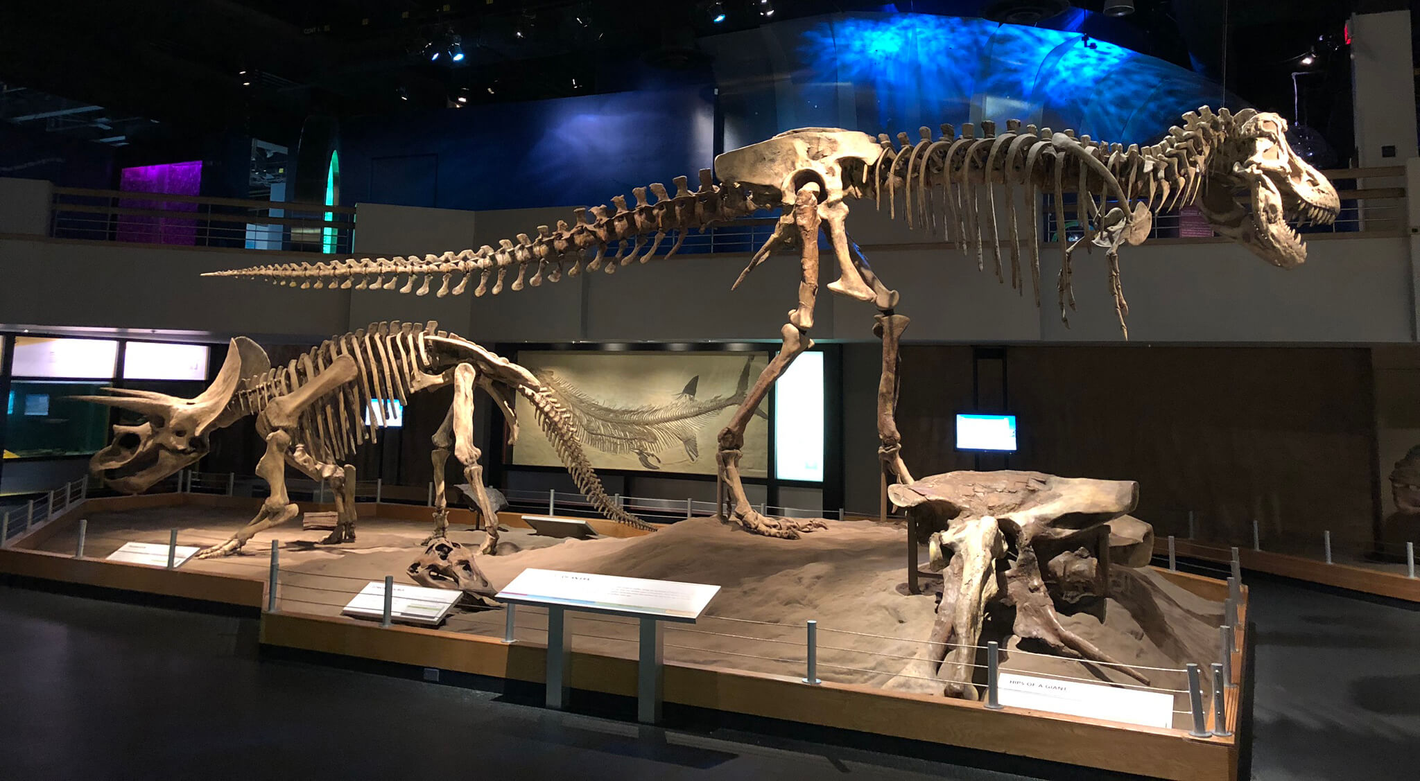 The Royal Tyrrell Museum of Paleontology