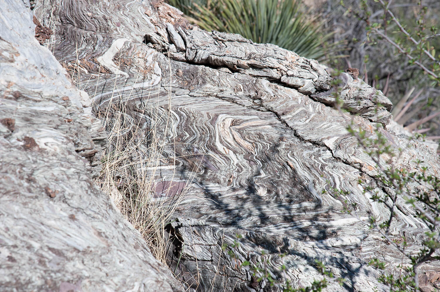 Closer look at the limestone ribbons at Torpedo Ridge