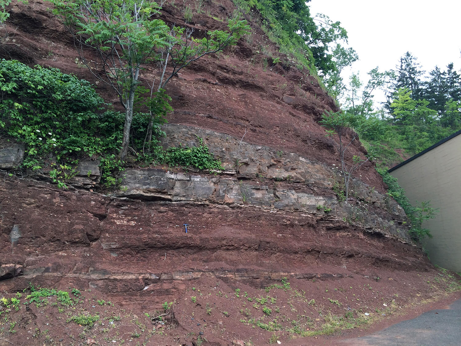 A cliff face near the abandoned Schuyler Copper Mine in Bergen County, NJ