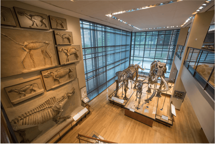 Beneski Museum of Natural History